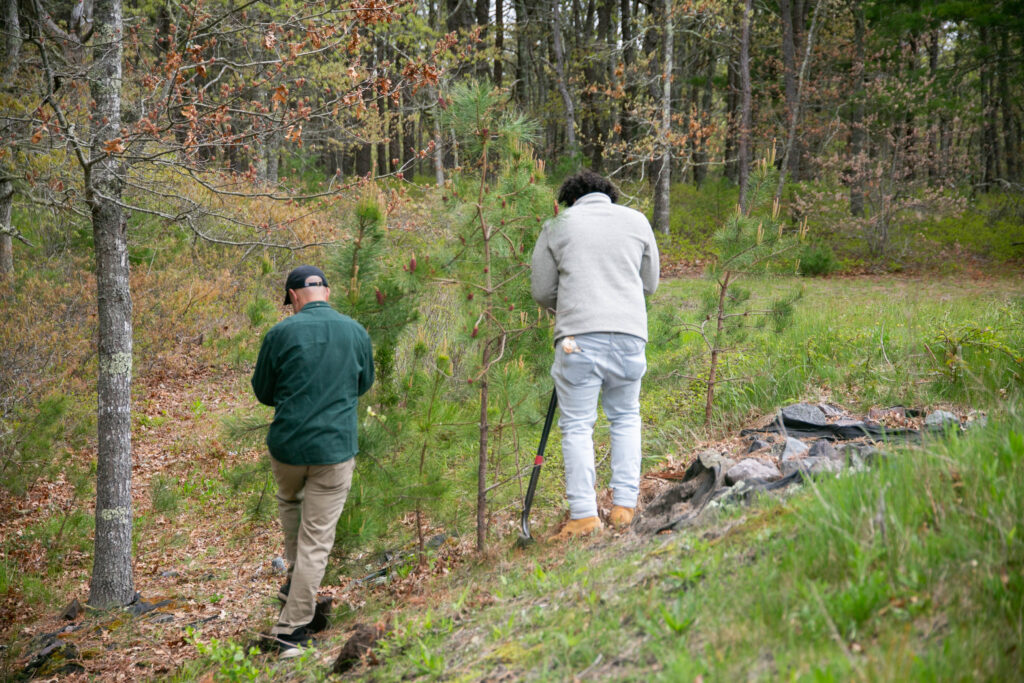 Landscape interaction